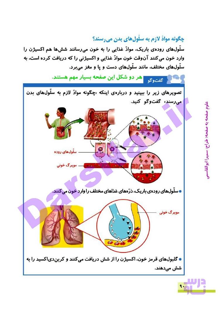 پاسخ درس 10 علوم چهارم  صفحه 8