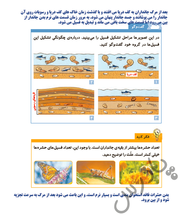 پاسخ درس چهار علوم پنجم  صفحه 4