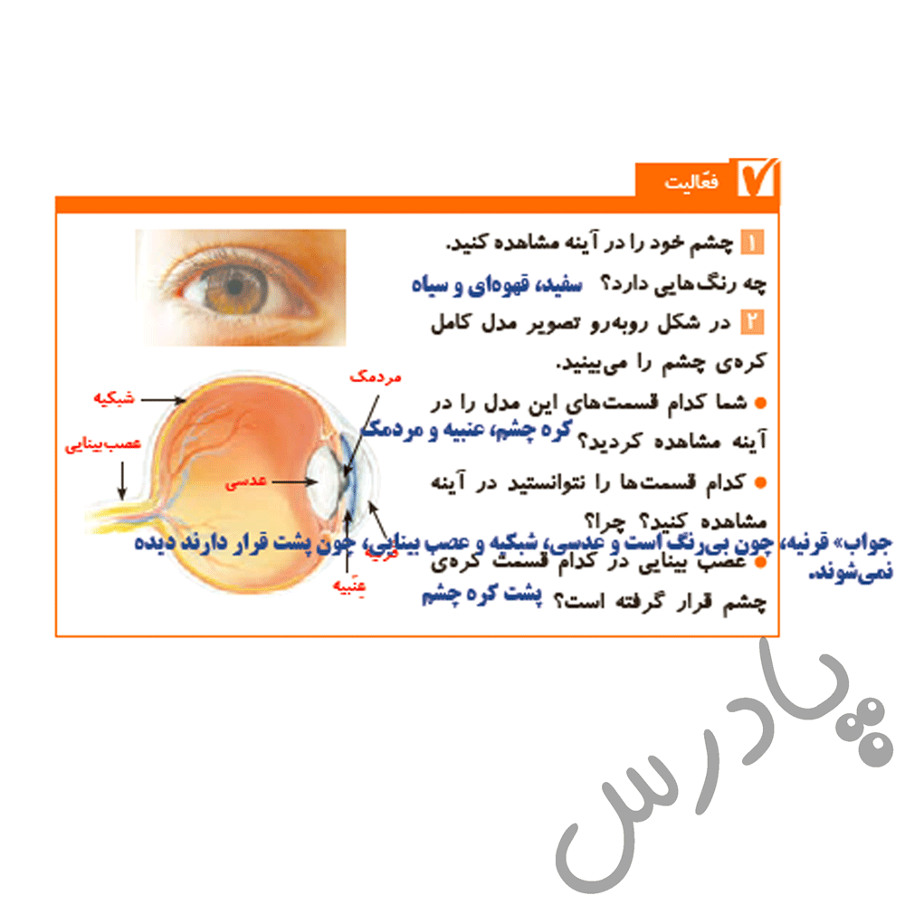 پاسخ درس 6 علوم پنجم  صفحه 1