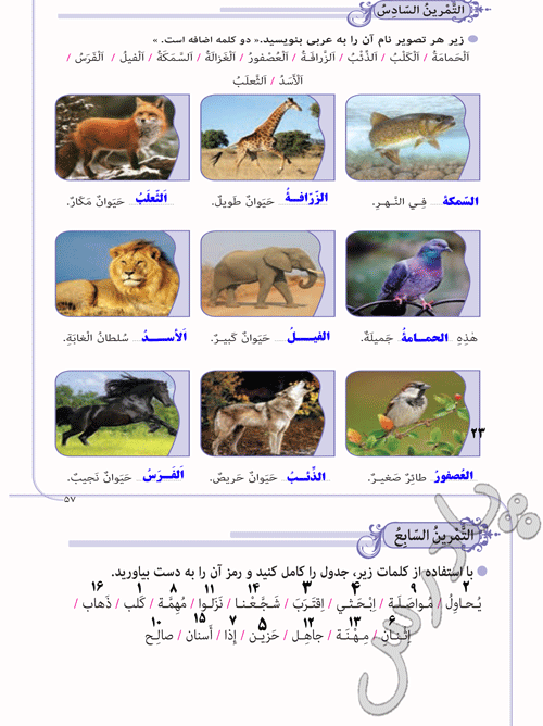 پاسخ درس 5 عربی نهم  صفحه 5