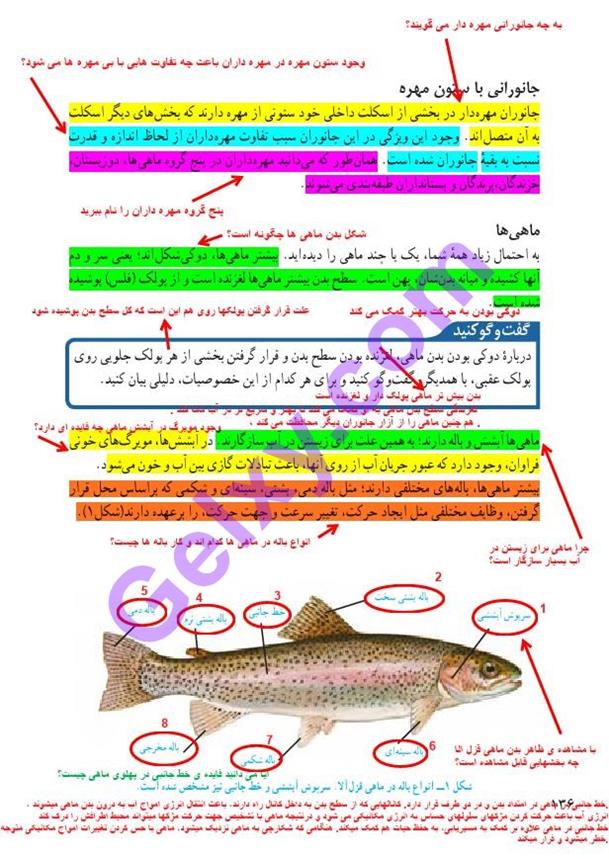 پاسخ فصل 14 علوم نهم  صفحه 1