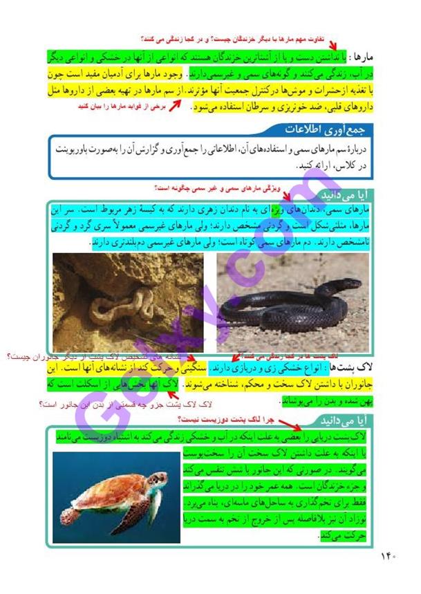 پاسخ فصل 14 علوم نهم  صفحه 5