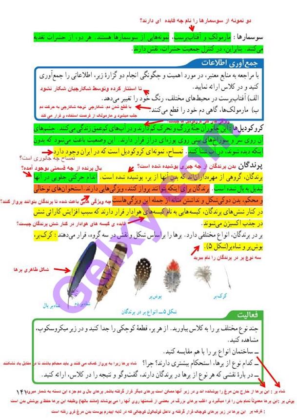 پاسخ فصل 14 علوم نهم  صفحه 6