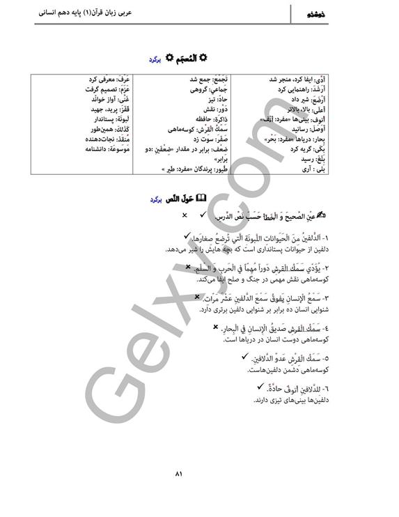 پاسخ درس 8 عربی دهم انسانی صفحه 3