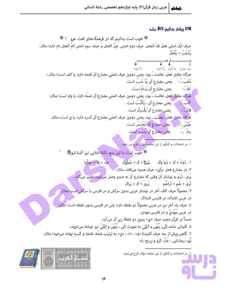 پاسخ درس 1 عربی دوازدهم انسانی صفحه 14