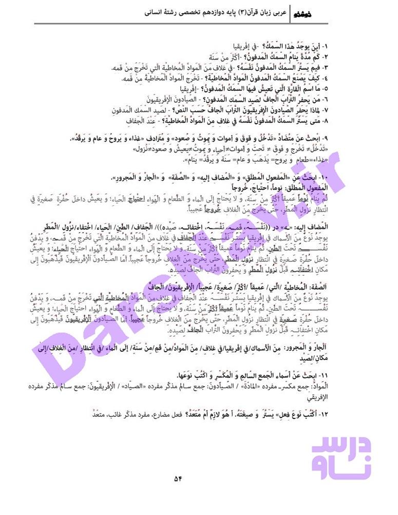 پاسخ درس 4 عربی دوازدهم انسانی صفحه 14