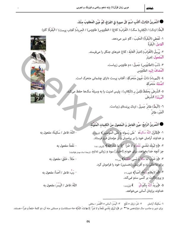 پاسخ درس 5 عربی دهم صفحه 11