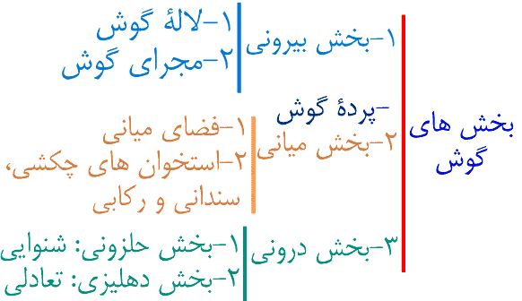 فعالیت صفحه ۳۸ علوم هشتم